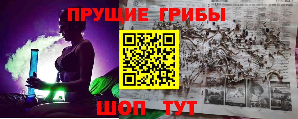 Новочеркасск  где можно купить   Псилоцибиновые грибы Psilocybe  Вход с VPN  Псилоцибиновые грибы Cubensis 